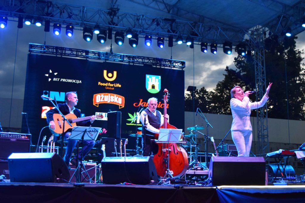 Filmmusicorkestar bei Food For Life Rocks