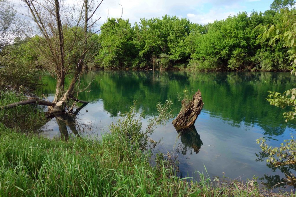 Ufer der Korana bei Karlovac