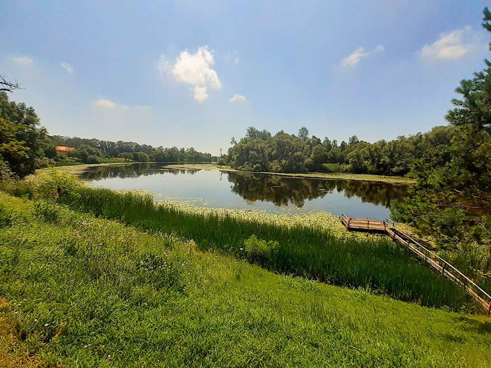 Fluss Save im Naturpark Lonjsko Polje