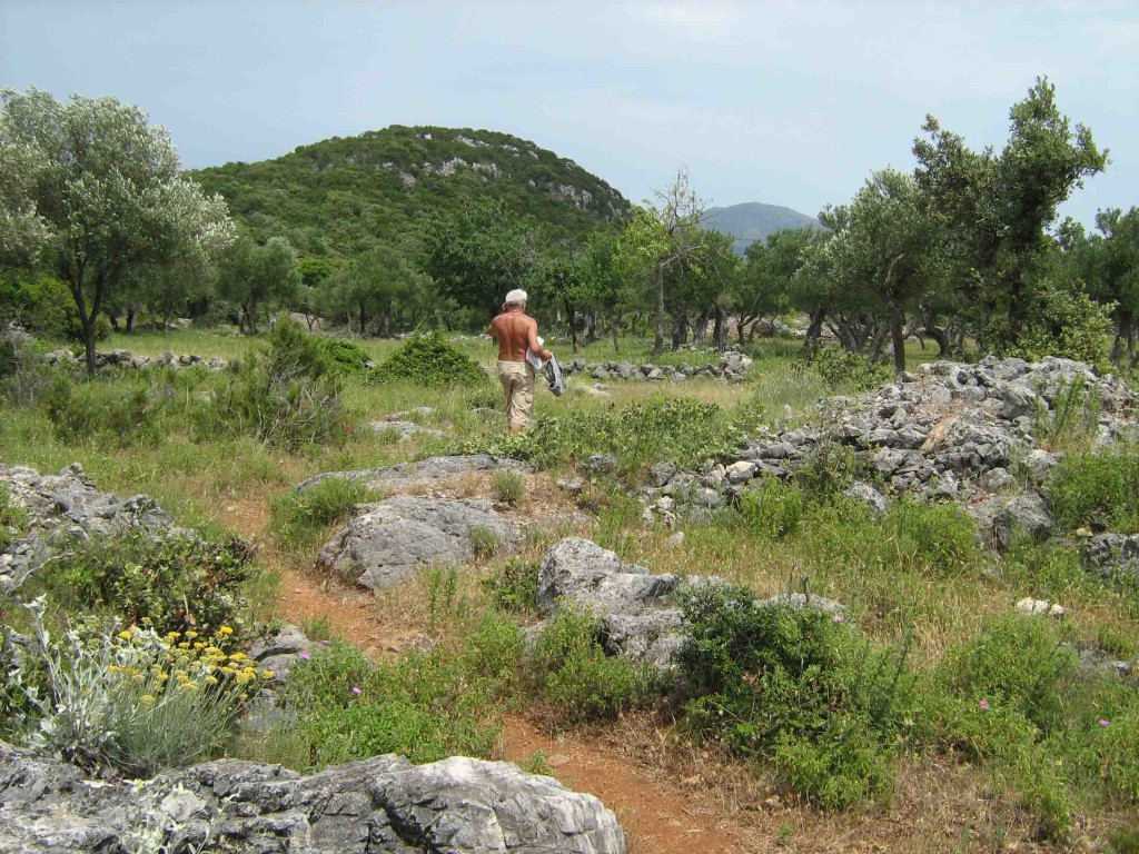 Katamaran-Tour mit Wanderung