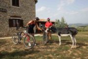 Individuelle Mountainbike-Tour durch Istrien