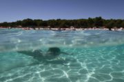Segeltörn Zadar Kornati Inseln
