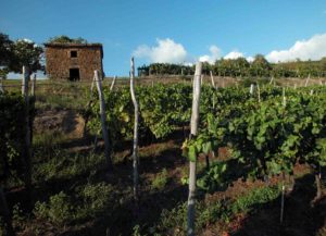 Individuelle Wanderreise durch Istrien