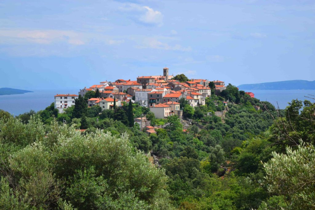 Beli am mystischen Tramontana Wald auf Cres - Kroatien Reiseblog