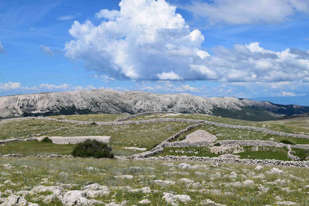 Wandern auf Krk