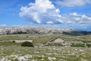 Wandern auf Krk