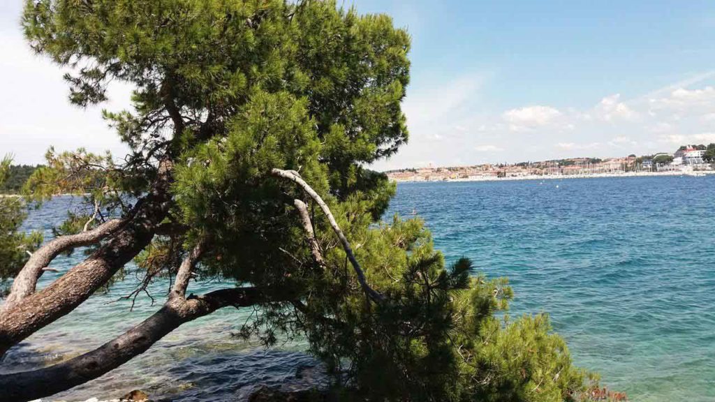 Rovinj