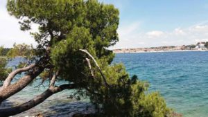 Rovinj