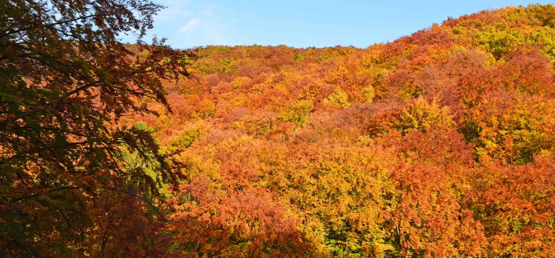 Indian Summer in Medvednica und Sljeme