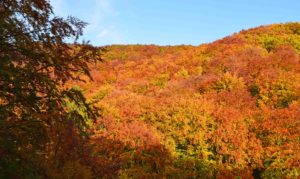 Indian Summer in Medvednica und Sljeme