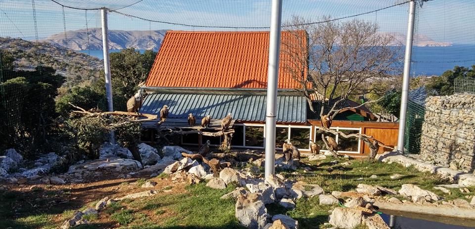 Greifvogelschutzzentrum Grifon, Kroatien