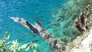 Plitvicer Seen Kroatien