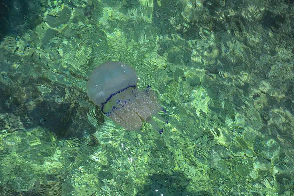 Saubere Adria in Kroatien