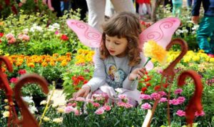 Baska Rozica Blumenfestival