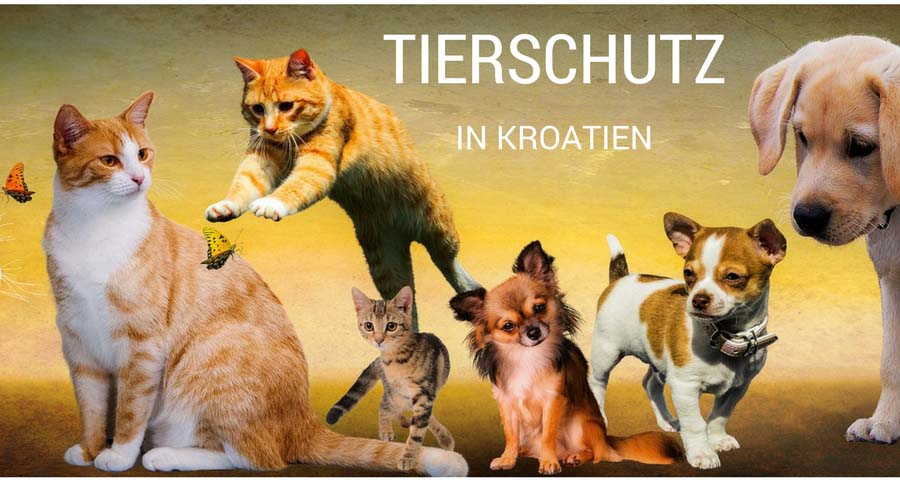 Tierschutz in Kroatien