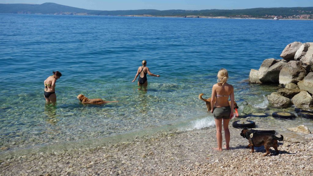 Hundestrand Crikvenica
