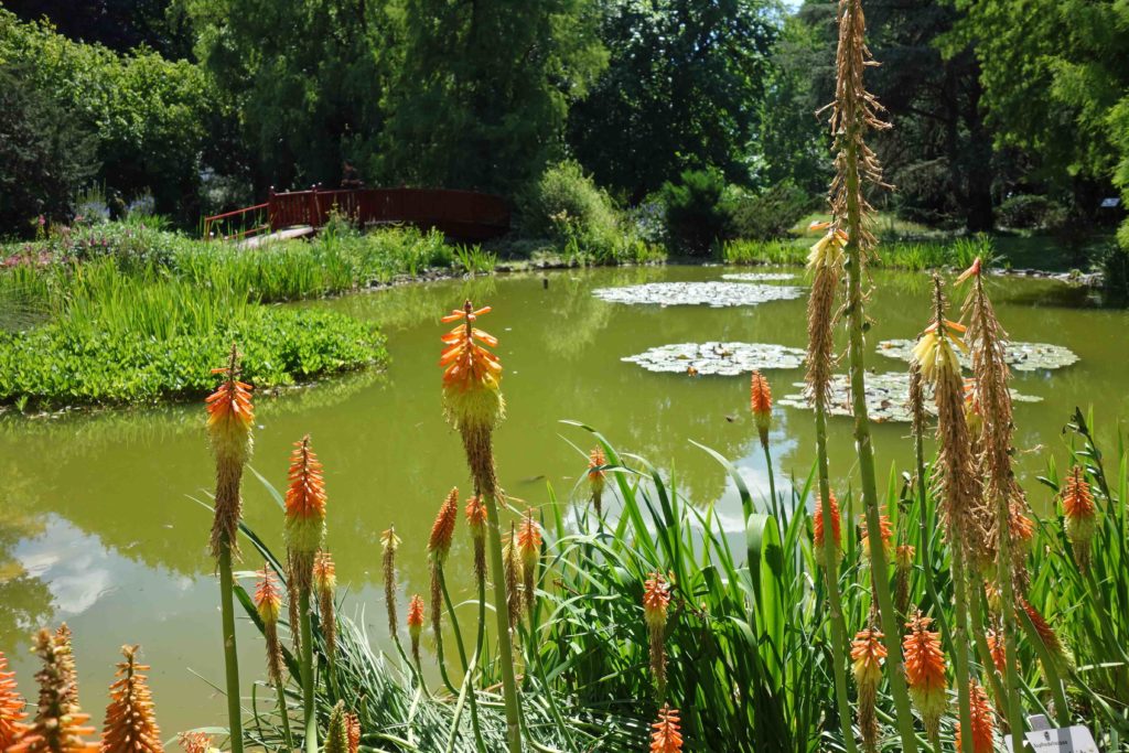 Botanischer Garten Zagreb