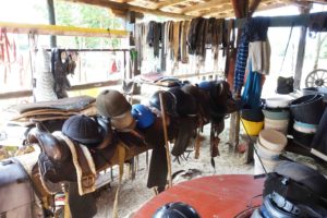 Ranch Barba Tone Istrien