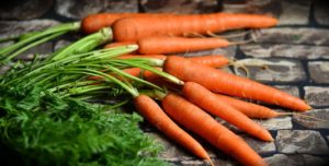 Karotten - Zutat für Vegeta