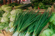 Marktbesuch und Kochkurs in Zadar