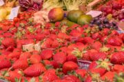 Marktbesuch und Kochkurs in Zadar