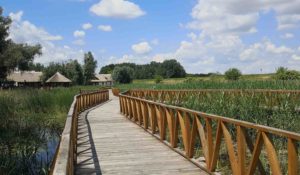 Kopački Rit Radtour