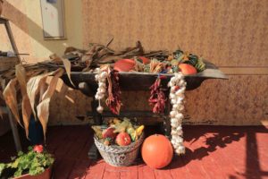 Kurzurlaub Slawonien