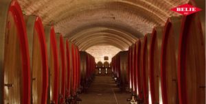 Weingut Belje Slawonien