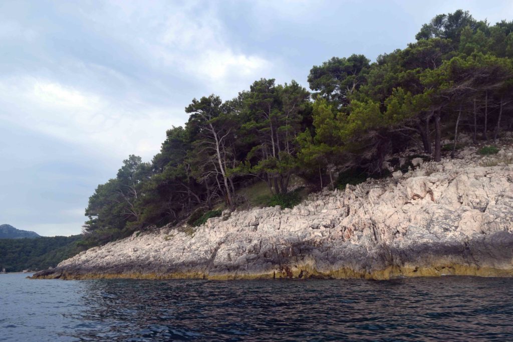 Vogelbrutplätze auf Lastovo