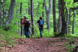 Medvednica Wandern bei Zagreb Kroatien