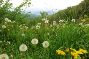 Natur erleben bei Zagreb
