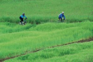 Radtour auf der Weinstraße von Plesivica