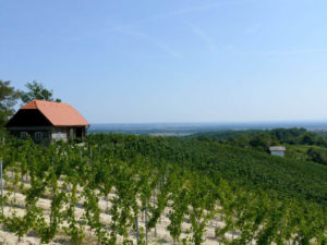 Radtour auf der Weinstraße Plesivica