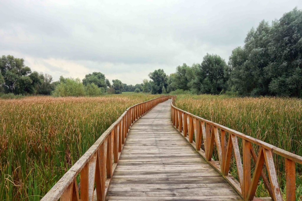 Spaziergang im Naturpark Kopacki rit