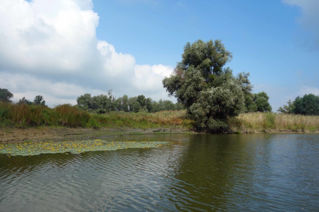 Bootstour im Naturpark Kopacki rit