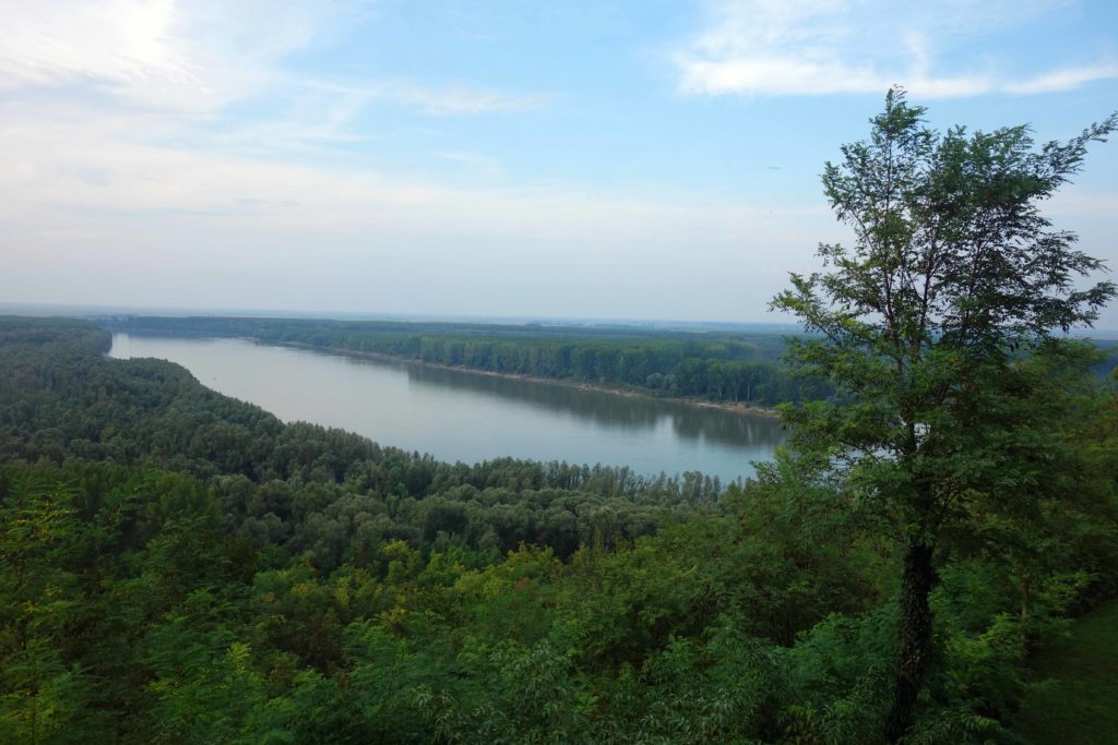 Die Donau in Kroatien