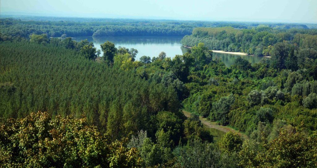 Blick über die Donau von Batina