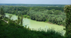 Aussicht über die Donau in Ilok