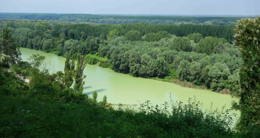 Aussicht über die Donau in Ilok