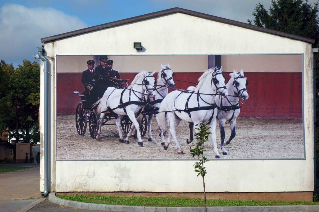 Državna Ergela Lipicanaca