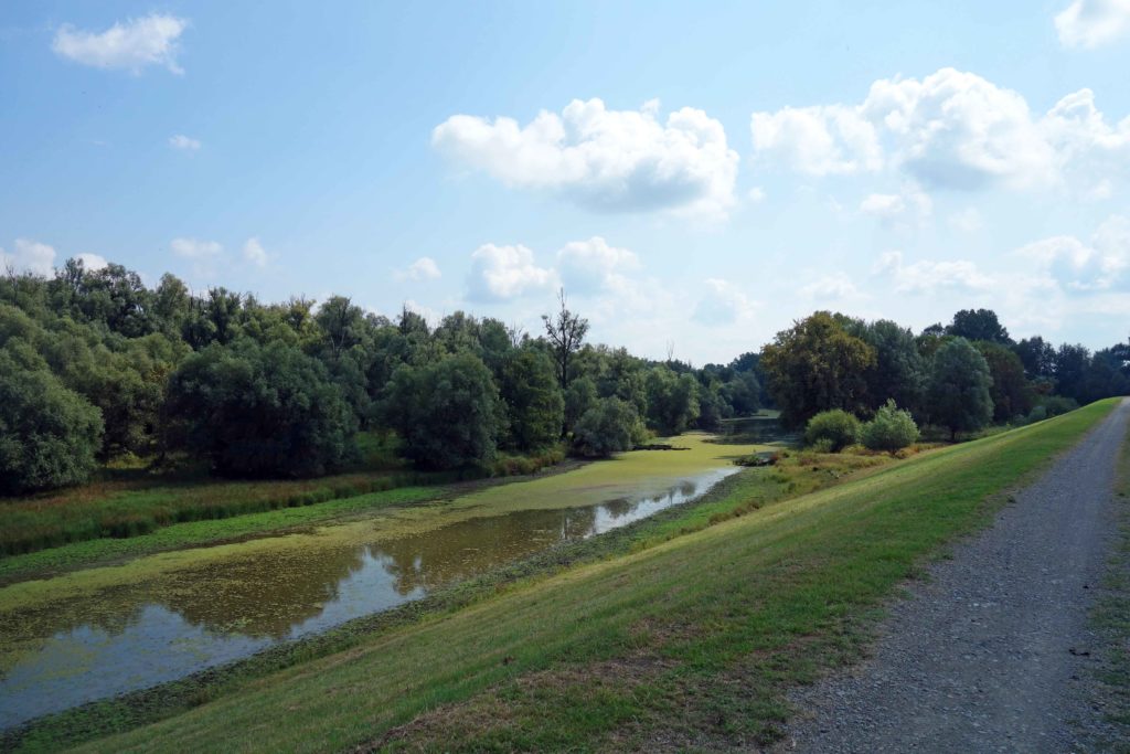 Landschaft in Slawonien, Kroatien