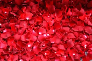 Heiraten mit Blumenteppich