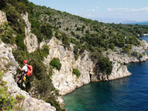 Beringung der Gänsegeier in der Kvarner Bucht