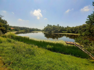 Fluss Save in Kroatien
