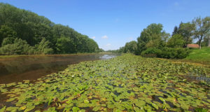Naturpark Lonjsko Polje