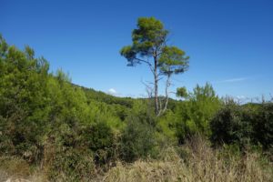 Wanderung auf Lastovo