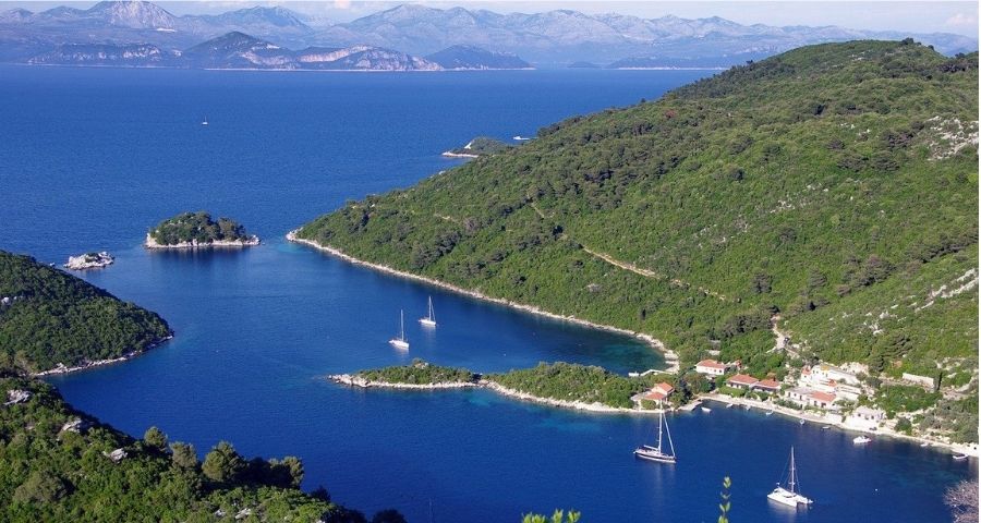 Dalmatien erleben auf Mljet