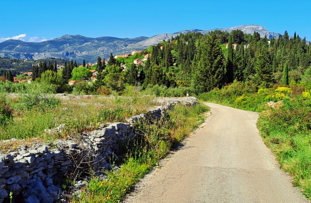 Radfahren auf Korcula