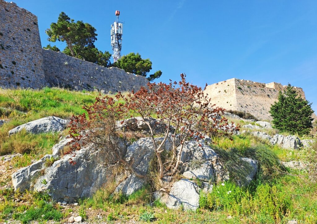 Festung St. Johannes in Sibenik